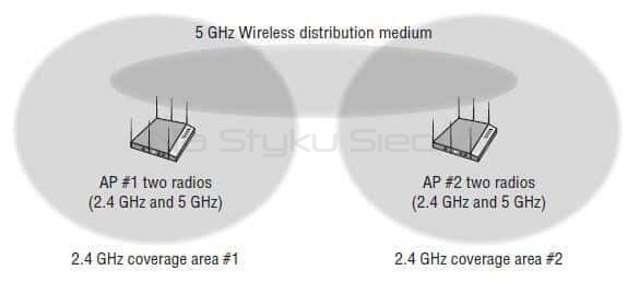 Wireless Distribution System na przykładzie sieci typu Mesh