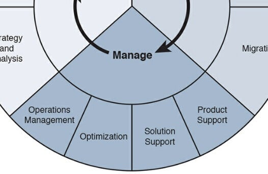 Faza Manage cyklu PBM